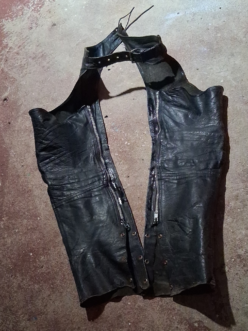 Womans Chaps - Picture 2 of 5